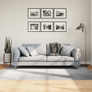 ARDEBO.de - Teppich IZA Kurzflor Skandinavischer Look Grau 140x200 cm
