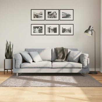 ARDEBO.de - Shaggy-Teppich PAMPLONA Hochflor Modern Beige 120x170 cm