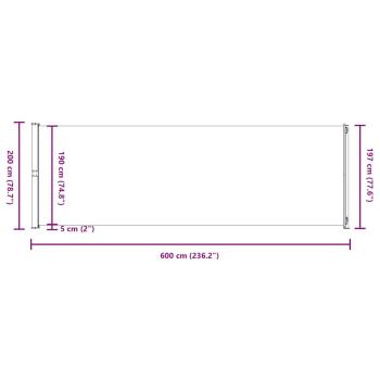 Seitenmarkise Ausziehbar 200x600 cm Schwarz