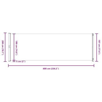 Seitenmarkise Ausziehbar 200x600 cm Grau