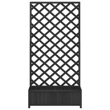 Pflanzkübel mit Spalier Schwarz Massivholz Tanne