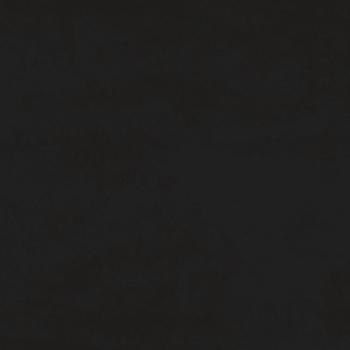 Schlafsofa 2-Sitzer mit 2 Kissen Schwarz Samt