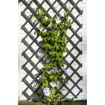 ARDEBO.de - Nature Garten-Rankgitter 50x150 cm Holz Anthrazit