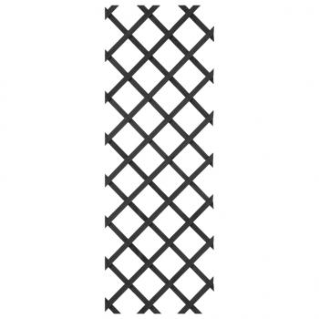 Nature Garten-Rankgitter 50x150 cm Holz Anthrazit