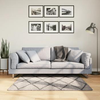 ARDEBO.de - Shaggy-Teppich Hochflor Modern Beige Anthrazit 120x120 cm