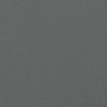 Seitenmarkise Ausziehbar Anthrazit 200x1000 cm