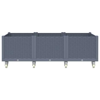 Pflanzkasten mit Rollen Grau 150x80x54 cm PP