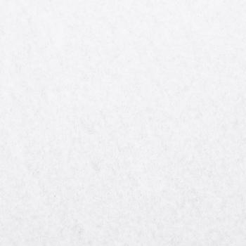 Geotextil-Vlies Weiß 1x50 m Polyesterfaser