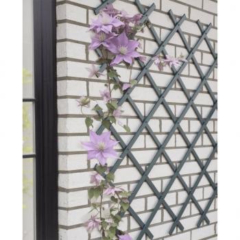 ARDEBO.de - Nature Garten-Rankgitter 50x150 cm PVC Anthrazit