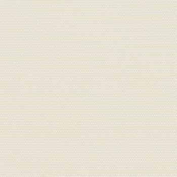 Seitenmarkise Ausziehbar Creme 160x600 cm