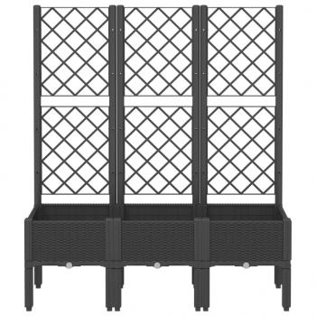 Pflanzkübel mit Rankgitter Schwarz 120x40x142 cm PP