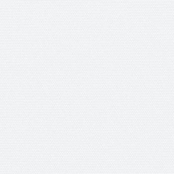 Seitenmarkise Ausziehbar Weiß 200x600 cm