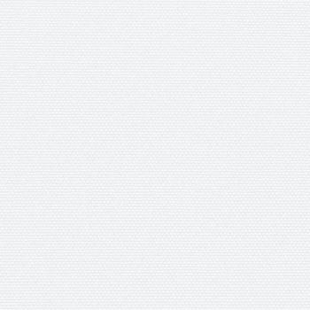 Seitenmarkise Ausziehbar Weiß 100x300 cm