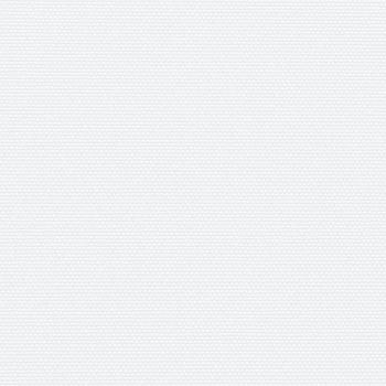 Seitenmarkise Ausziehbar Weiß 120x300 cm
