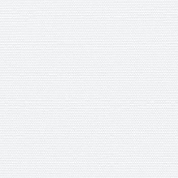 Seitenmarkise Ausziehbar Weiß 140x600 cm