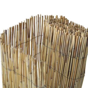 Schilfzaun 500x100 cm