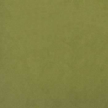 Schlafsofa 2-Sitzer mit 2 Kissen Hellgrün Samt