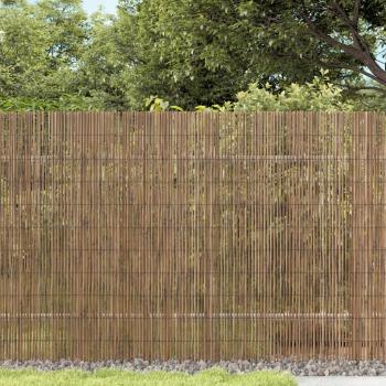 ARDEBO.de - Gartenzaun 600x100 cm Schilf