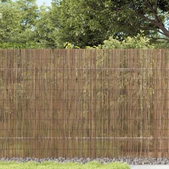 ARDEBO.de - Gartenzaun 400x100 cm Schilf