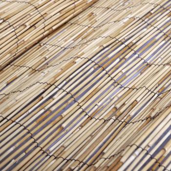 Gartenzaun 400x100 cm Schilf