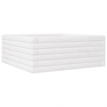 Pflanzkübel Weiß 60x60x23 cm Massivholz Kiefer