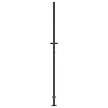 Gartentor Anthrazit 105x180 cm Stahl Gras-Design