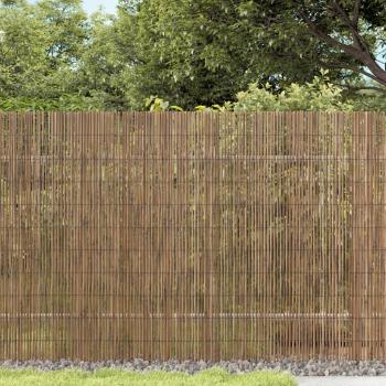 ARDEBO.de - Gartenzaun 300x100 cm Schilf