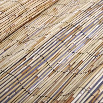 Gartenzaun 300x100 cm Schilf