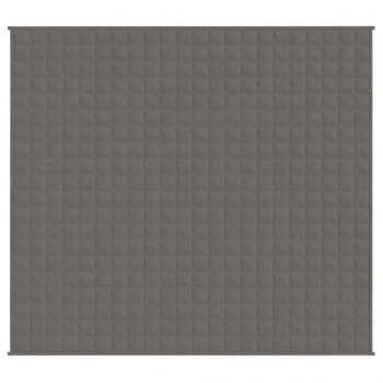 Gewichtsdecke Grau 200x230 cm 13 kg Stoff