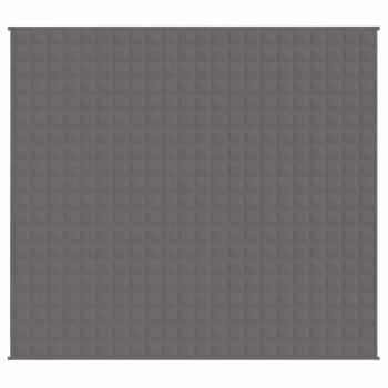 Gewichtsdecke Grau 200x220 cm 13 kg Stoff