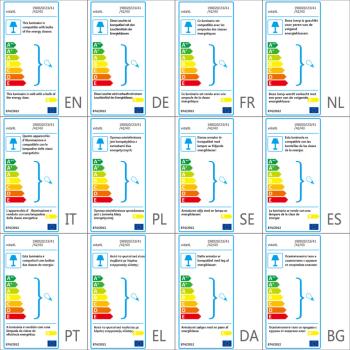 Fotostudio-Set mit Lampen und Hintergrundsystem