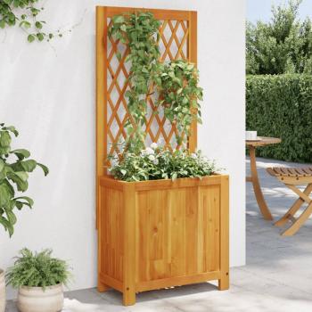 ARDEBO.de - Pflanzkübel mit Rankgitter 55x29,5x132 cm Massivholz Akazie