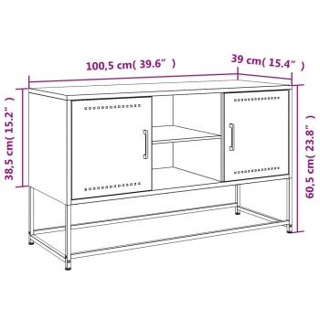 TV-Schrank Schwarz 100,5x39x60,5 cm Stahl