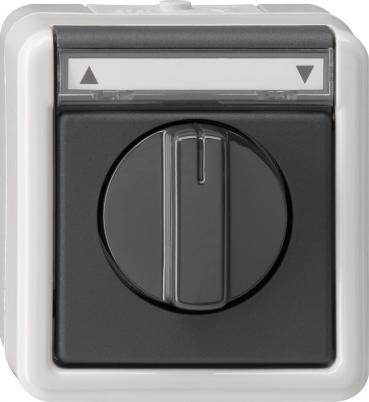 ARDEBO.de Gira 015430 Jalousietaster/-schalter 1polig mit Beschriftungsfeld 10 A 250 V~ Gruppentaster/Schalter, Aufputz IP 44, grau