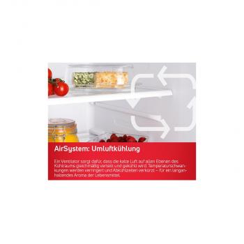 Amica VKS 358 150 E Vollraum-Kühlschrank, 60 cm breit, 370L, Holiday-Schaltung, NoFrost, Edelstahloptik
