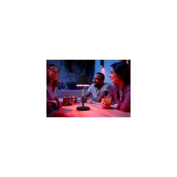 Philips Hue Go Tragbare LED Tischleuchte, 6W, 530lm, 4000K, schwarz (929003128501)