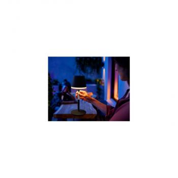 Philips Hue Go Tragbare LED Tischleuchte, 6W, 530lm, 4000K, schwarz (929003128501)