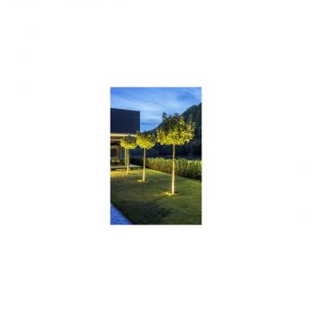 SLV ROCCI 200 Outdoor Bodeneinbauleuchte, LED, 3000K, IP67, rund, edelstahl 316 (1006104)