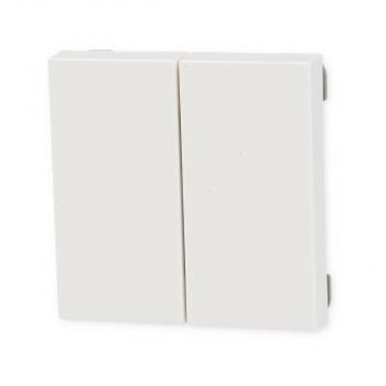 Gira 246203 BT Wandsender 2fach System 55, Reinweiß glänzend