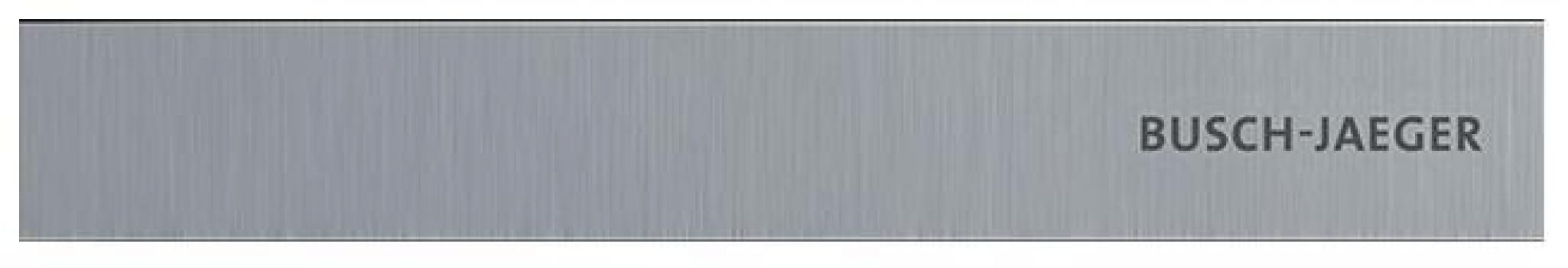 ARDEBO.de Busch-Jaeger 51381EP-S-03 Busch-Welcome® IP: Abschlussleiste Gr. 1/x, Alusilber (2TMA130160X0024)