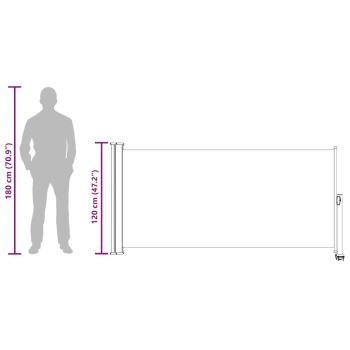 Ausziehbare Seitenmarkise 120x300 cm Grau