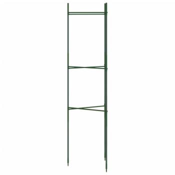 Tomatenkäfig 2 Stk. 116 cm Stahl und PP