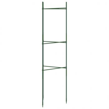 Tomatenkäfige 6 Stk. 116 cm Stahl und PP