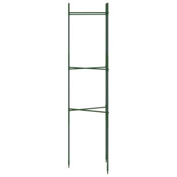 Tomatenkäfige 6 Stk. 116 cm Stahl und PP