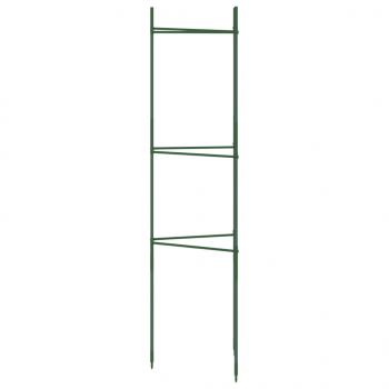 Tomatenkäfige 6 Stk. 116 cm Stahl und PP
