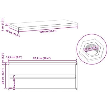 Wandregale 2 Stk. 100x40x3 cm Schwarz Edelstahl