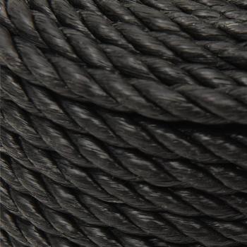 Arbeitsseil Schwarz 10 mm 500 m Polypropylen