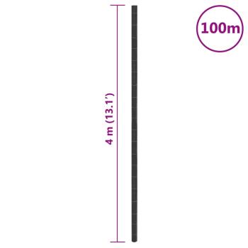 Unkrautvlies Schwarz 4x100 m PP