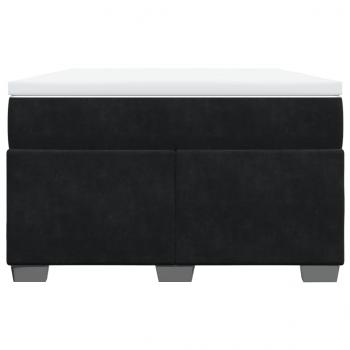 Boxspringbett mit Matratze Schwarz 120x190 cm Samt