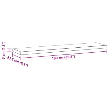 Wandregale 2 Stk. 100x23,5 cm Silbern Edelstahl